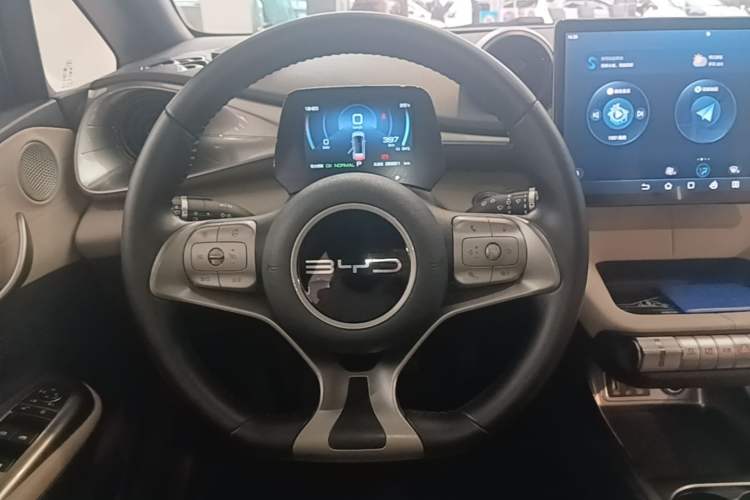 Used BYD Dolphin 2023 420 km Free Version Steering Wheel