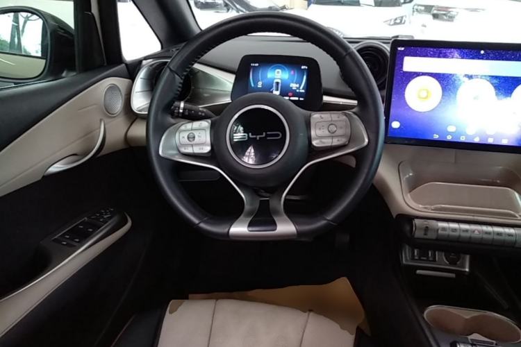 Used BYD Dolphin 2023 420 km Free Version Steering Wheel