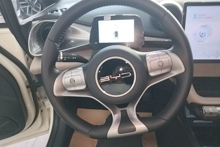 Used BYD Dolphin 2023 420 km Free Version Steering Wheel