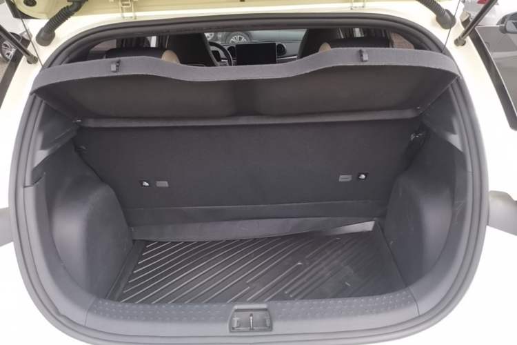 Used BYD Dolphin 2023 420 km Free Version Trunk