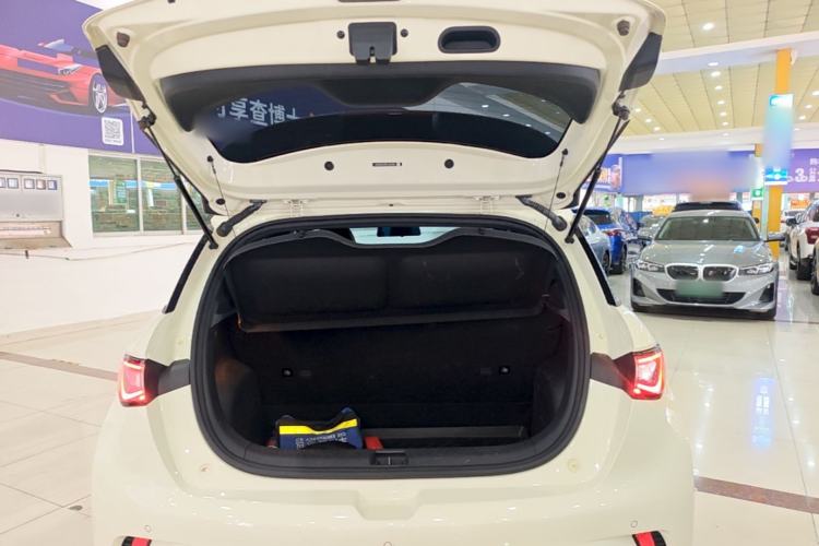 Used BYD Dolphin 2023 420 km Free Version Trunk