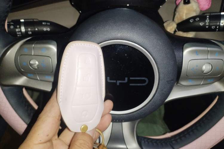 Used BYD Dolphin 2023 420 km Fashion Edition Vehicle Key