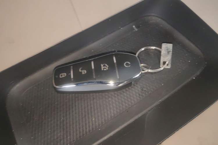 Used BYD Dolphin 2023 420 km Fashion Edition Vehicle Key