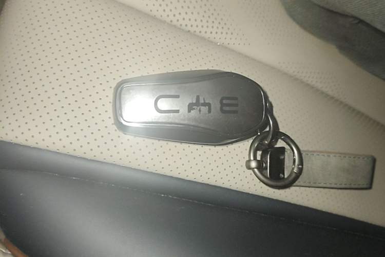 Used BYD Dolphin 2023 420 km Fashion Edition Vehicle Key