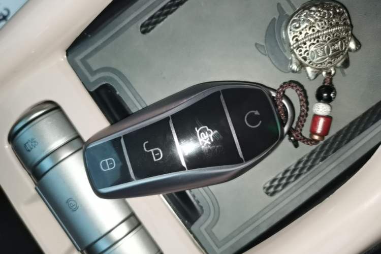 Used BYD Dolphin 2023 420 km Free Version Vehicle Key