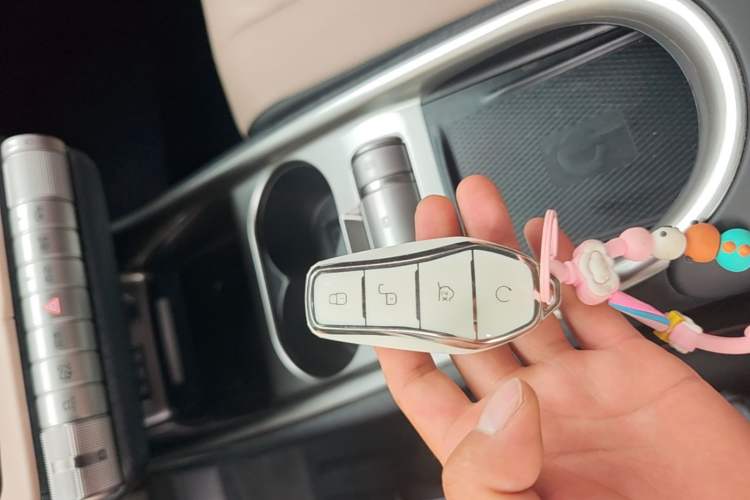 Used BYD Dolphin 2023 420 km Fashion Edition Vehicle Key
