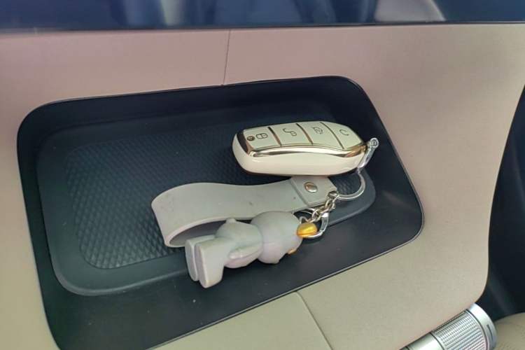 Used BYD Dolphin 2023 420 km Fashion Edition Vehicle Key