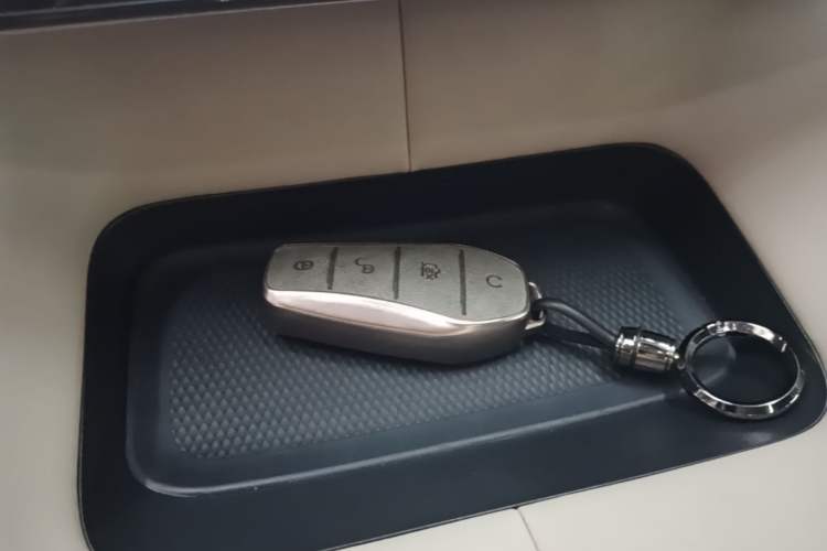 Used BYD Dolphin 2023 420 km Fashion Edition Vehicle Key