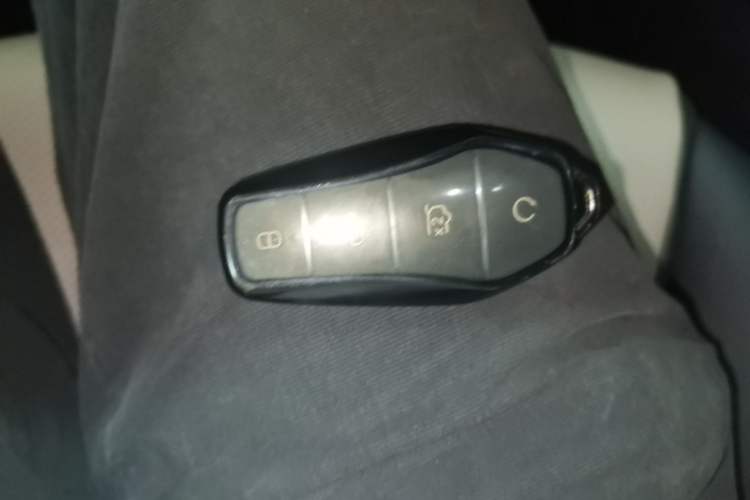 Used BYD Dolphin 2023 420 km Fashion Edition Vehicle Key