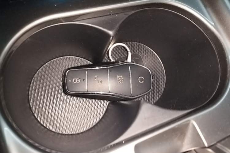 Used BYD Dolphin 2023 420 km Free Version Vehicle Key