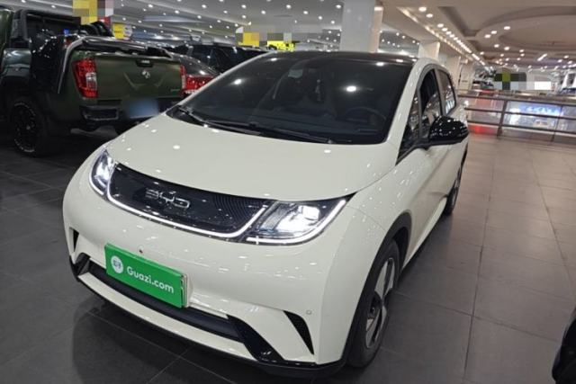 BYD Dolphin 2023 420 km Fashion Edition usado