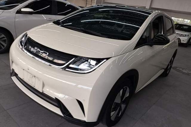 Used BYD Dolphin 2023 420 km Free Version