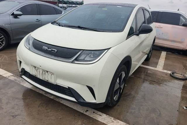 Used BYD Dolphin 2023 420 km Fashion Edition