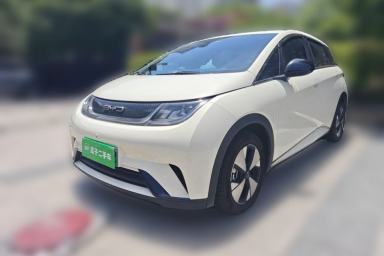 Used BYD Dolphin 2023 420 km Free Version