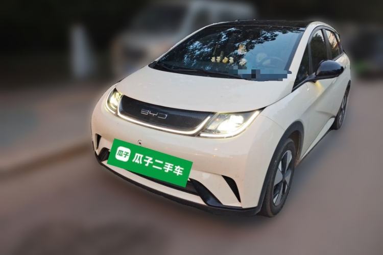 Used BYD Dolphin 2023 420 km Fashion Edition Guazi used car, China used car export, Used car for sale, Used  cars, Cheapest cars for sale