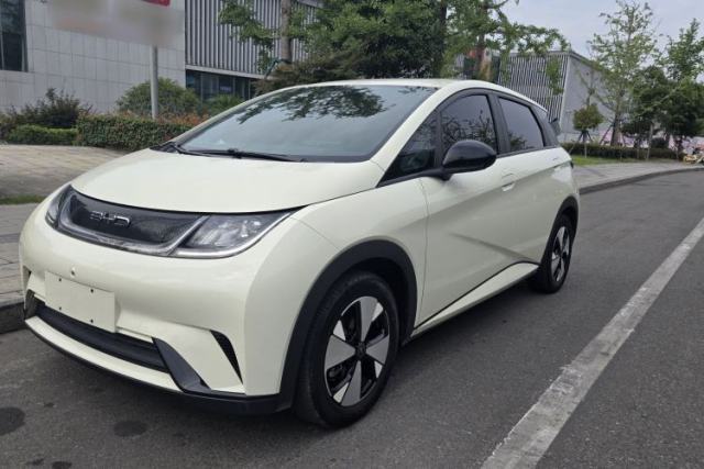 Used BYD Dolphin 2023 420 km Free Version