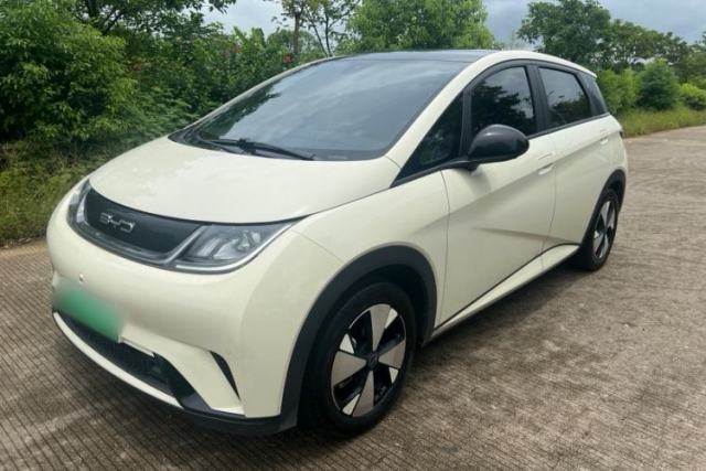 BYD Dolphin 2023 420 km Fashion Edition de segunda mano