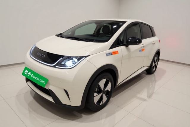 Used BYD Dolphin 2023 420 km Free Version