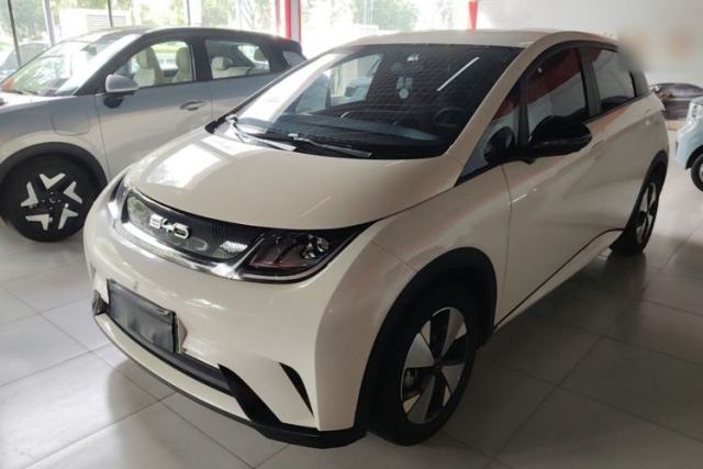 Used BYD Dolphin 2023 420 km Free Version