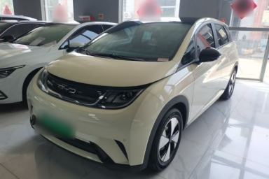 Used BYD Dolphin 2023 420 km Fashion Edition
