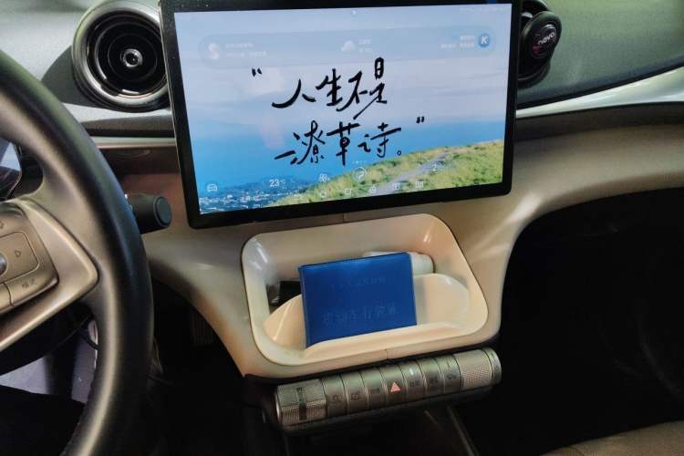 Used BYD Dolphin 2023 420 km Fashion Edition Audio And AC Panel