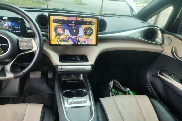 Used BYD Dolphin 2023 420 km Free Version Audio And AC Panel