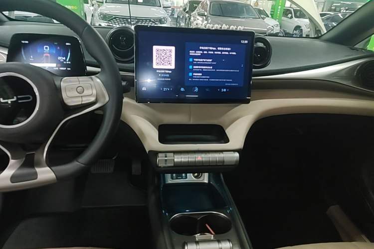 Used BYD Dolphin 2023 420 km Fashion Edition Audio And AC Panel