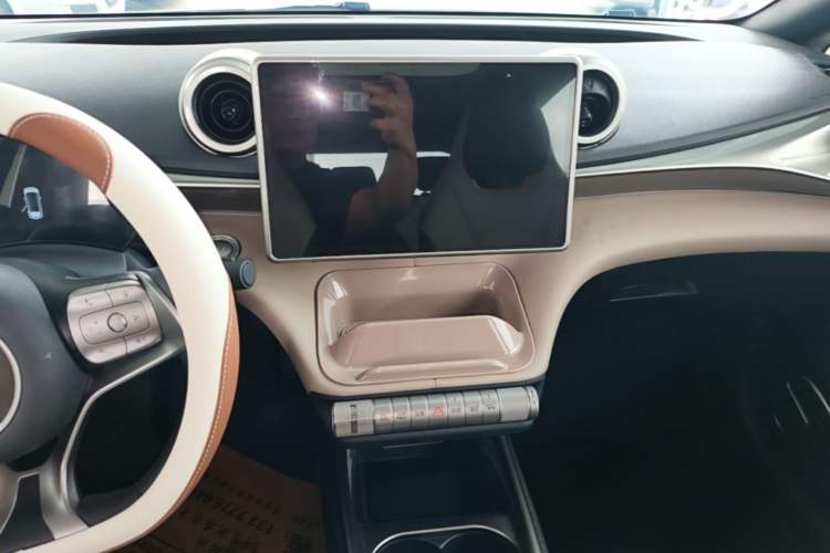 Used BYD Dolphin 2023 420 km Fashion Edition Audio And AC Panel