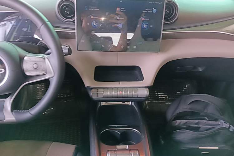 Used BYD Dolphin 2023 420 km Fashion Edition Audio And AC Panel