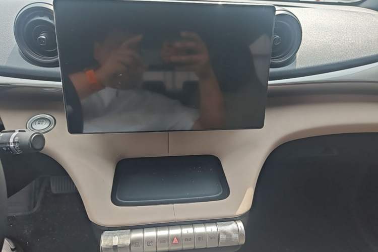Used BYD Dolphin 2023 420 km Fashion Edition Audio And AC Panel