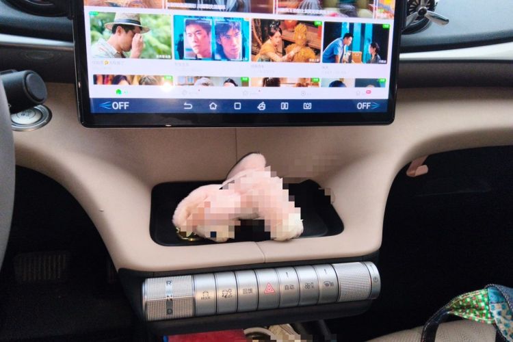 Used BYD Dolphin 2023 420 km Fashion Edition Audio And AC Panel
