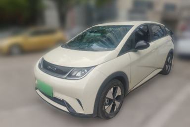 Used BYD Dolphin 2023 420 km Free Version