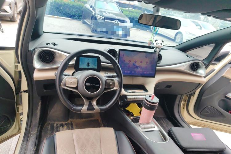 Used BYD Dolphin 2023 420 km Free Version Center Console