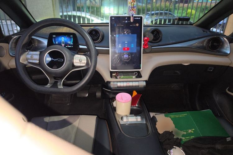 Used BYD Dolphin 2023 420 km Free Version Center Console