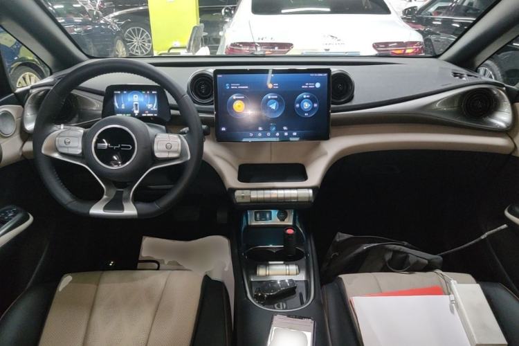 Used BYD Dolphin 2023 420 km Fashion Edition Center Console