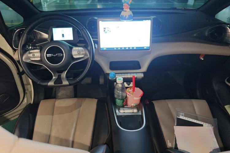 Used BYD Dolphin 2023 420 km Fashion Edition Center Console