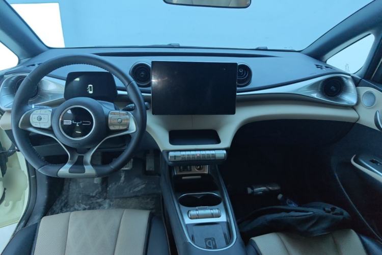 Used BYD Dolphin 2023 420 km Fashion Edition Center Console