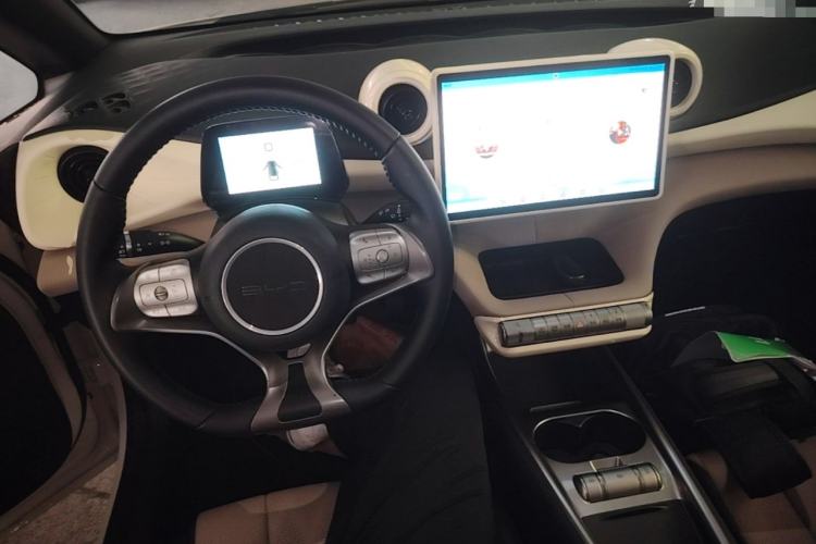 Used BYD Dolphin 2023 420 km Free Version Center Console