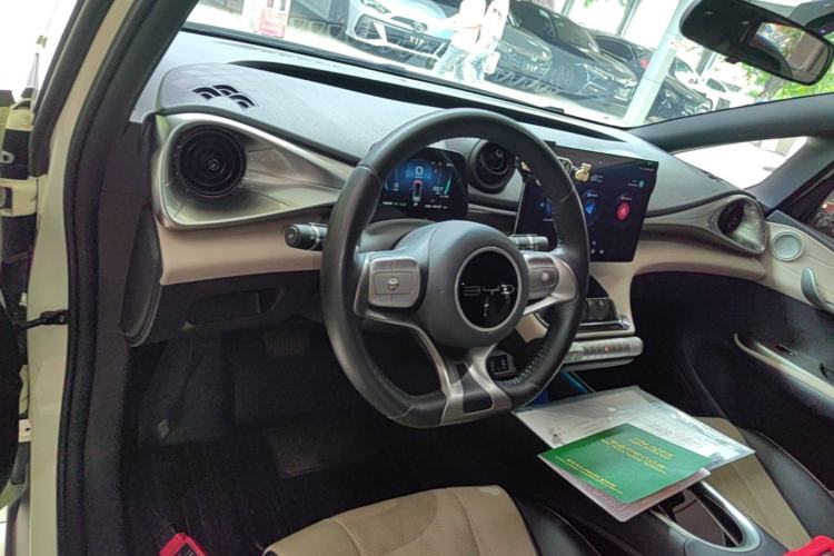 Used BYD Dolphin 2023 420 km Free Version Center Console