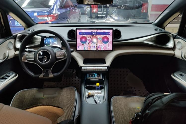 Used BYD Dolphin 2023 420 km Free Version Center Console