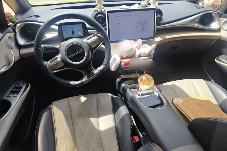 Used BYD Dolphin 2023 420 km Fashion Edition Center Console