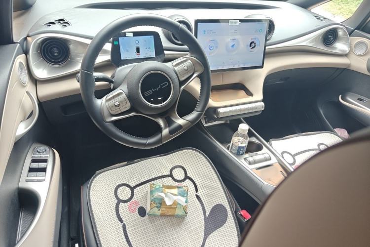 Used BYD Dolphin 2023 420 km Fashion Edition Center Console