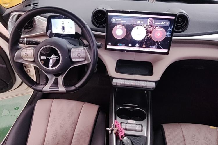 Used BYD Dolphin 2023 420 km Fashion Edition Center Console