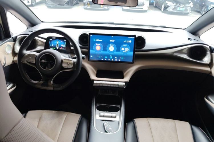 Used BYD Dolphin 2023 420 km Free Version Center Console