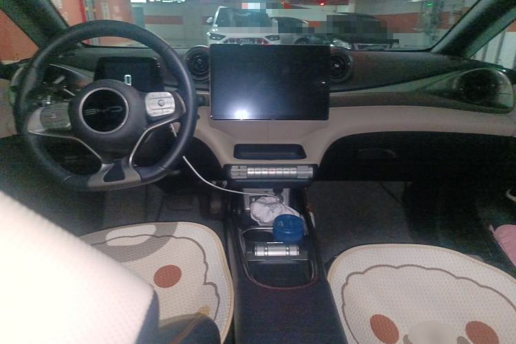 Used BYD Dolphin 2023 420 km Fashion Edition Center Console