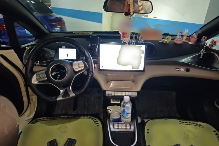 Used BYD Dolphin 2023 420 km Fashion Edition Center Console