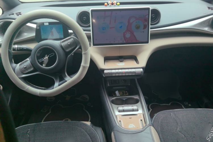 Used BYD Dolphin 2023 420 km Free Version Center Console