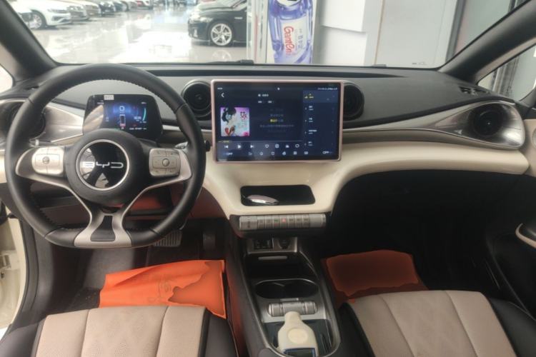 Used BYD Dolphin 2023 420 km Fashion Edition Center Console