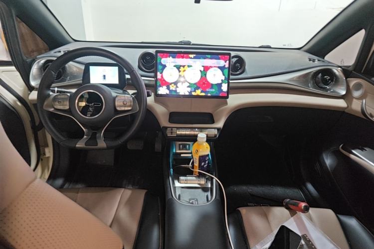 Used BYD Dolphin 2023 420 km Fashion Edition Center Console