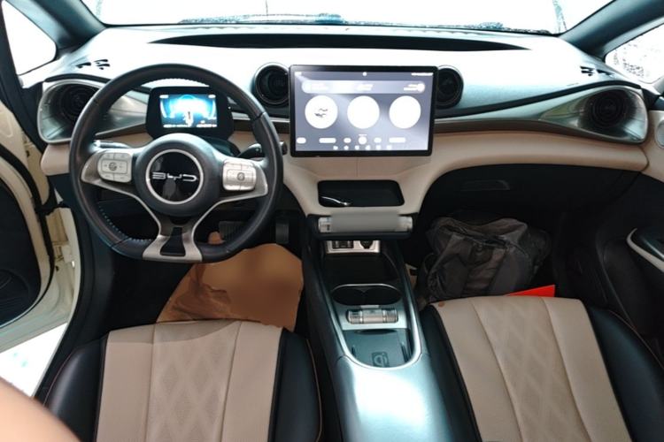 Used BYD Dolphin 2023 420 km Fashion Edition Center Console